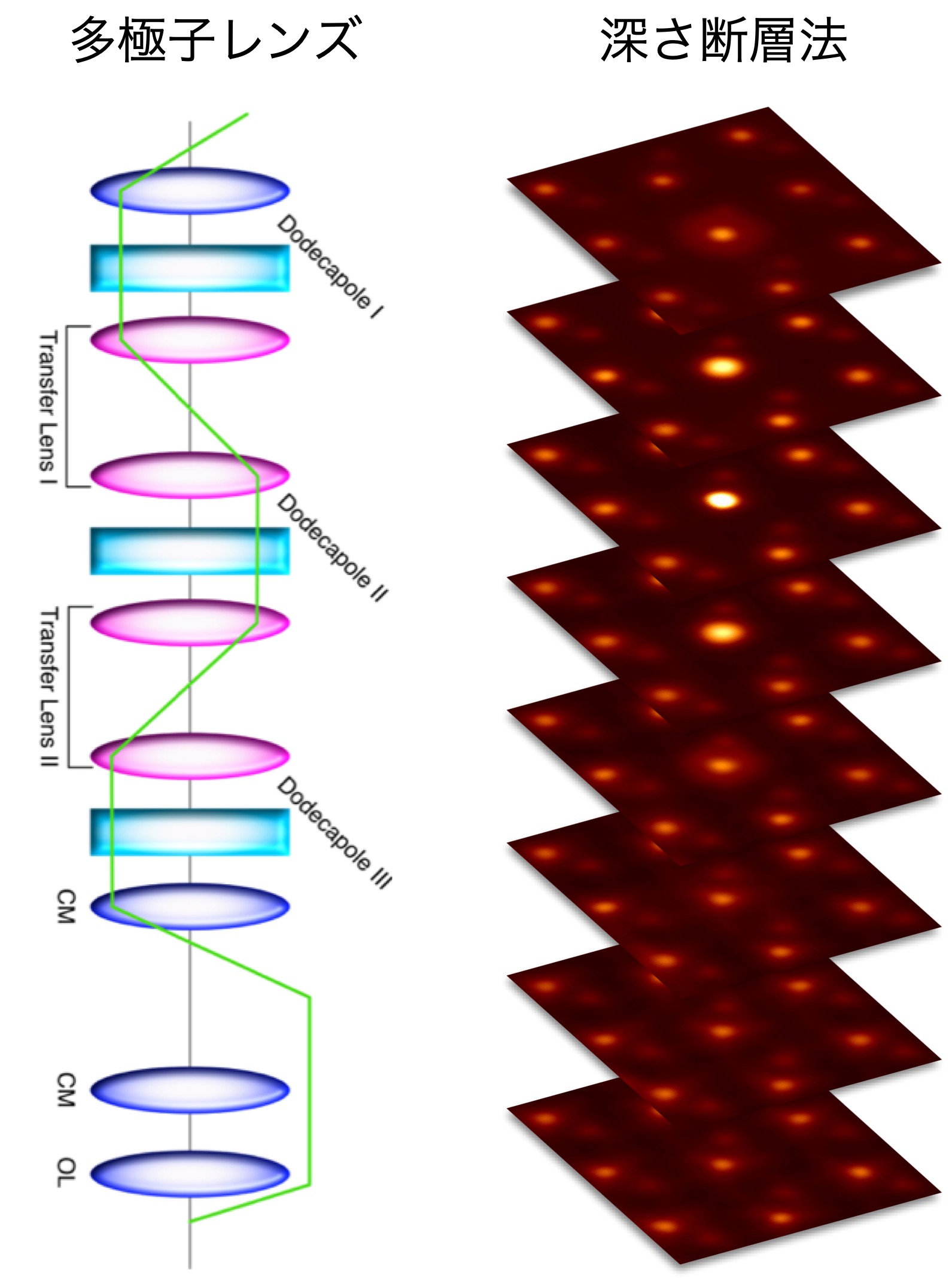 3次元電子顕微鏡法の開発