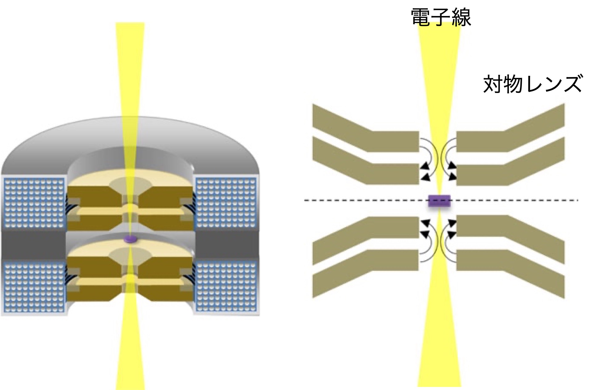 磁場フリー電子顕微鏡の開発